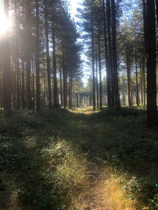 Nightjar Lodge - Adults Only Lackford Zewnętrze zdjęcie