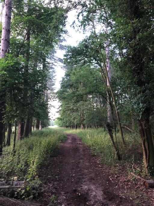Nightjar Lodge - Adults Only Lackford Zewnętrze zdjęcie